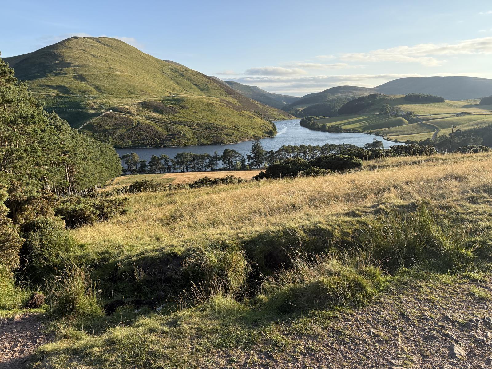 Evening light over Glencorse Reservoir in the Pentland Hills Regional Park, Scotland, with stands of Scots pine along the shoreline.
