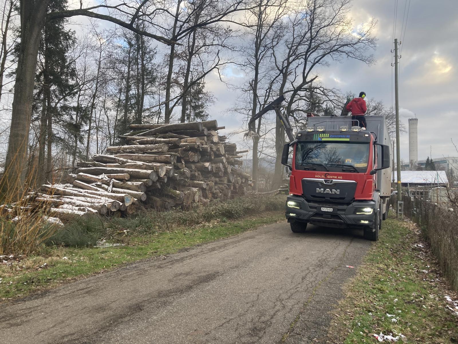 A timber lorry with a loading crane beside a large frosted stack of logs on a woodland lane.